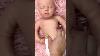 9LBS Weighted 24 Pickle Reborn Baby Doll Hand-Rooted Hair Artist Finished Girl